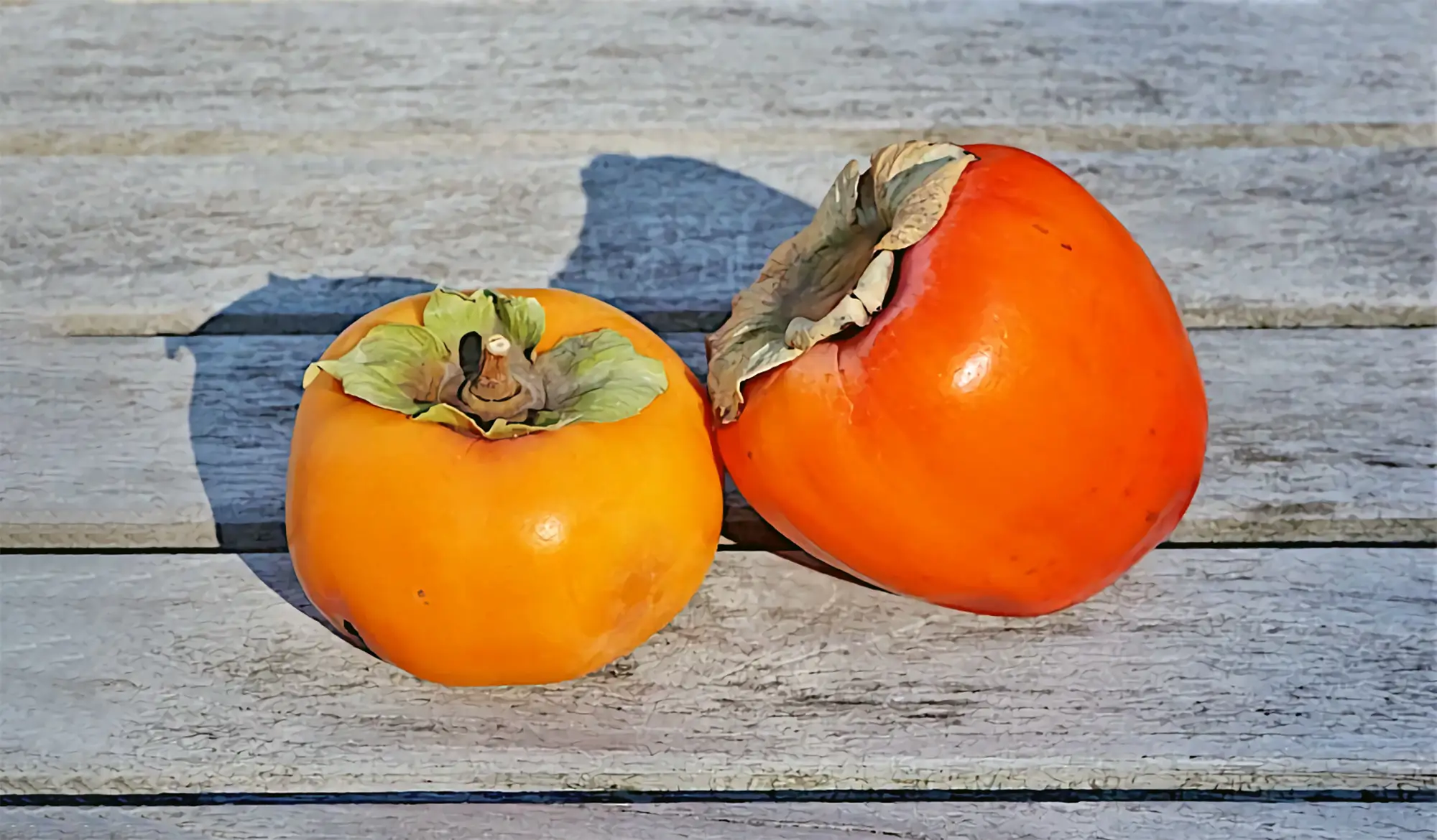 과소평가된 슈퍼푸드 감의 효능 극대화 및 위석 예방을 위한 섭취 가이드