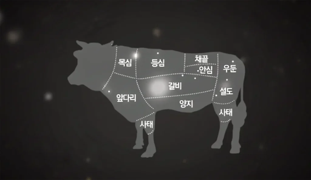 소고기 부위 선택 가이드